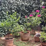 With Terrace And Garden Next To Marjan Park - 2 Free Bikes