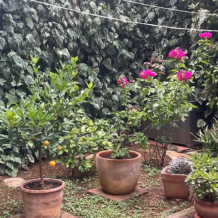 Garden4you - With Terrace And Garden Next To Marjan Park - 2 Free Bikes