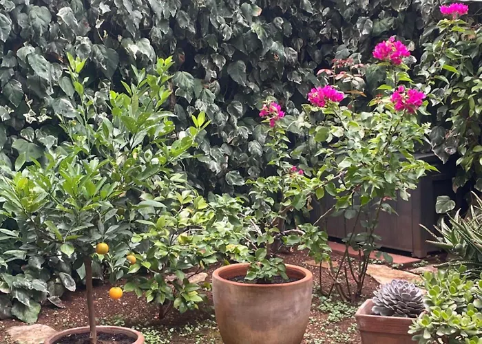 With Terrace And Garden Next To Marjan Park - 2 Free Bikes